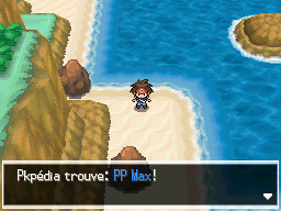 Fichier:Route 18 PP Max 1 N2B2.png