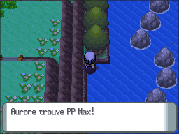 Route 224 PP Max DP.png