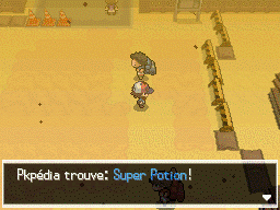 Route 4 Super Potion NB.png