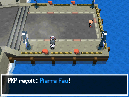 Volucité Pierre Feu NB.png
