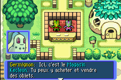 Magasin Kecleon PDMRB.png