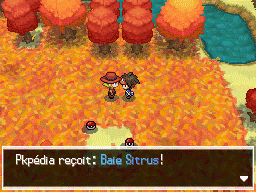 Fichier:Route 20 Baie Sitrus 1 N2B2.png