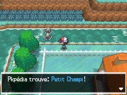 Route 6 Petit Champi 1 NB.png