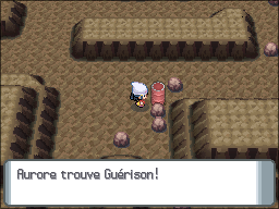 Île de Fer Guérison DP.png