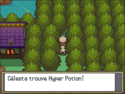 Mauville Hyper Potion HGSS.png