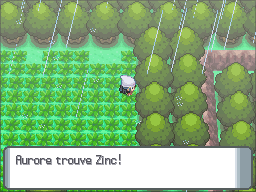 Route 215 Zinc DP.png