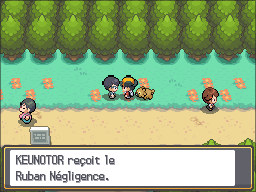 Fichier:Route 36 Ruban Négligence HGSS.png