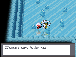 Route de Glace Potion Max HGSS.png