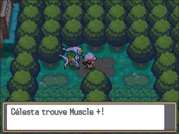 Forêt de Jade Muscle + HGSS.png