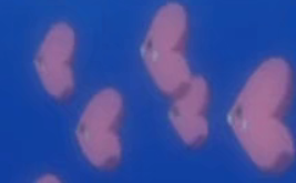 Lovdisc XY001.png