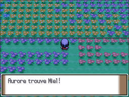 Pré Floraville Miel Pt.png