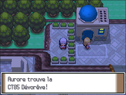 Rive Lac Courage CT85 Pt.png