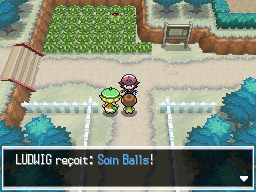 Route 3 Soin Balls NB.png