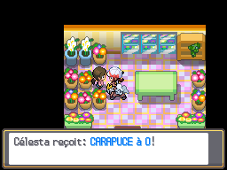 Doublonville Carapuce à O HGSS.png