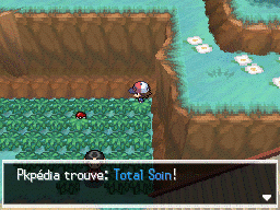 Route 10 Total Soin NB.png