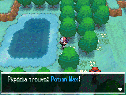 Tourbière Flocombe Potion Max NB.png