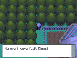 Unionpolis Petit Champi DP.png