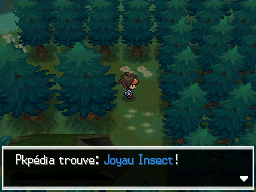 Fichier:Forêt d'Empoigne Joyau Insect N2B2.png