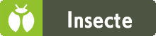 Miniature Type Insecte HOME.png