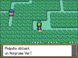 Fichier:Route 11 Noigrume Vert HGSS.png