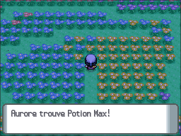 Pré Floraville Potion Max DP.png