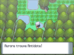 Fichier:Route 212 Antidote DP.png