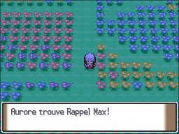 Pré Floraville Rappel Max Pt.png