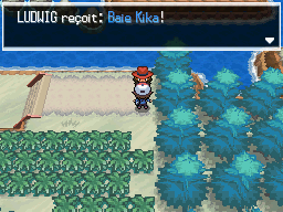 Route 1 Baie Kika 1 NB.png