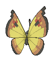 Fichier:Sprite 0666 Continent dos XY.png