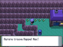 Aire de Survie Rappel Max DP.png