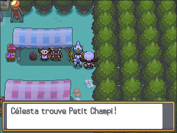 Portail Safari Petit Champi 2 HGSS.png
