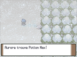 Route 217 Potion Max Pt.png