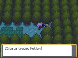 Route 29 Potion HGSS.png