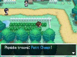 Fichier:Route 6 Petit Champi N2B2.png