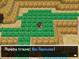 Fichier:Route Victoire Max Repousse 2 N2B2.png