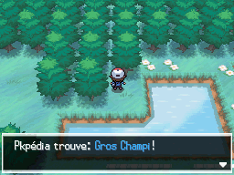 Autel Abondance Gros Champi NB.png