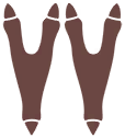 Empreintes 0017 DEPS.png