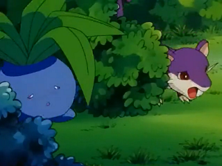 Fichier:EP235 - Mystherbe et Rattata.png