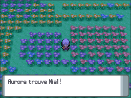 Pré Floraville Miel DP.png