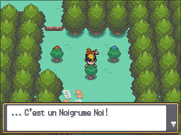 Route 36 Noigrume Noir HGSS.png