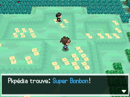 Fichier:Route 12 Super Bonbon N2B2.png