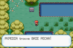 Bois Baies Baie Pêcha RFVF.png