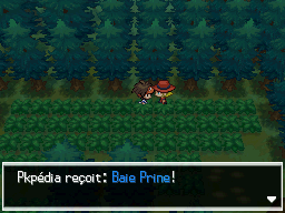 Fichier:Forêt d'Empoigne Baie Prine 1 N2B2.png