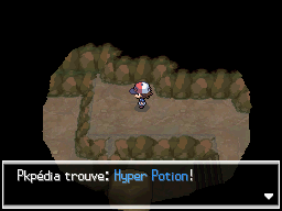 Grotte Parsemille Hyper Potion 1 NB.png