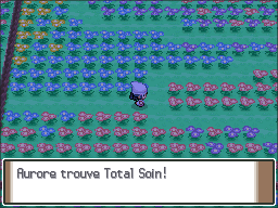Pré Floraville Total Soin Pt.png