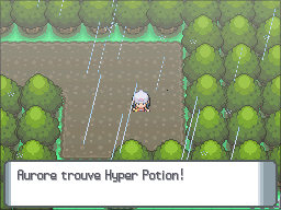 Route 212 Hyper Potion DP.png