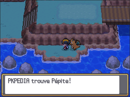 Route 27 Pépite HGSS.png