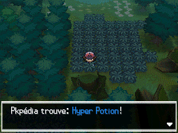 Forêt d'Empoigne Hyper Potion NB.png