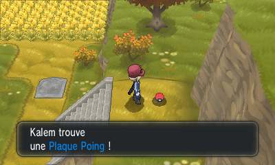 Fichier:Route 16 Plaque Poing XY.png
