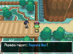 Route 10 Rappel Max NB.png